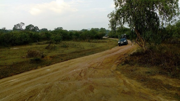 gallery/img_20190208_083240