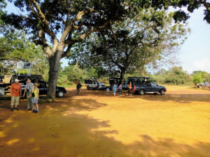 gallery/img_20190208_091443