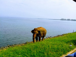 gallery/20171231_091314 (1)